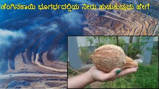 ತೆಂಗಿನಕಾಯಿಯ ಮೂಲಕ ಬೋರ್ ನೀರು ಹುಡುಕುವುದು ಹೇಗೆ  Bore Water Searching by coconut in kannada [upl. by Eniron]