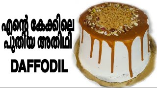 Daffodil cake recipe എന്റെ കേക്കിലെ പുതിയ താരം  how to make Daffodil cake  michis kitchen [upl. by Abihsat]