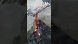 TODAY’S SKILL Efficient Trench Cooking survival homestead DIY bushcraft outdoors [upl. by Okramed166]