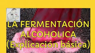 132 LA FERMENTACIÓN ALCOHOLICAExplicación básica paso a paso [upl. by Asaert]