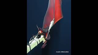 Rare deepsea squid caught on camera [upl. by Iormina]