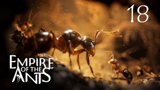 Empire of the Ants  18  Nächtliche Erkundung [upl. by Eceerahs795]