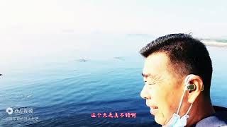 阳光明媚的海面上，那些潜水的碰海人，他们究竟碰到了什么海货？ [upl. by Dowell614]