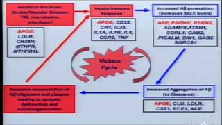 Alzheimers Disease From Genes to Novel Therapeutics [upl. by Eadie]