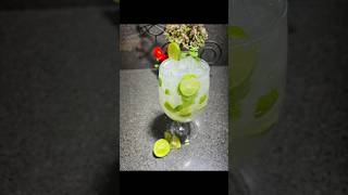 Polo mint mojitomojitodrinkshortvideo [upl. by Eralcyram300]