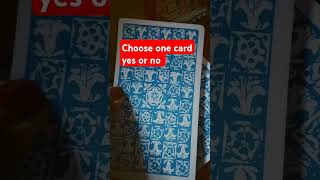 Choose one card yes or no card tarot trending yesornoshorts viralshort shorts [upl. by Noied560]