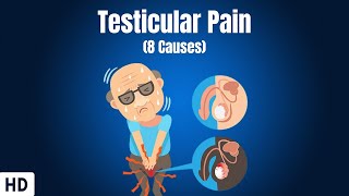 8 Causes Of Testicular Pain [upl. by Sirrot]