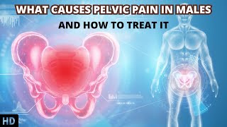 Decoding Pelvic Pain in Males Understanding the Root Causes [upl. by Socin]