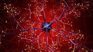 Each new memory formation results in neuronal damage in your brain cells [upl. by Clausen]