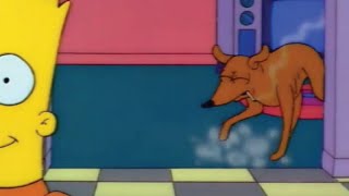 Bart Investigates the Effects of Cigarette Smoking on Dogs [upl. by Mann864]