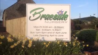 Braeside Nursery U105 Radio Advert 2012 [upl. by Witherspoon]