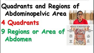 Quadrants and Regions of Abdominopelvic Area in Hindi  4 Quadrants  9 Regions or Area of Abdomen [upl. by Marlea]