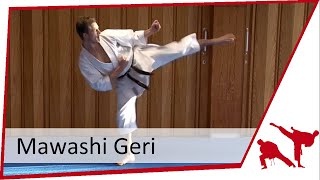 Hajime Kazumi demonstrates the power of gedan mawashi geri [upl. by Leund]