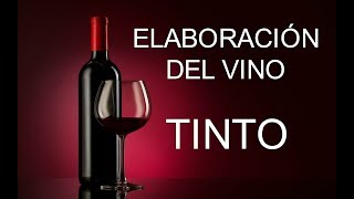 ELABORACIÓN DEL VINO TINTO ✔ [upl. by Erelia]