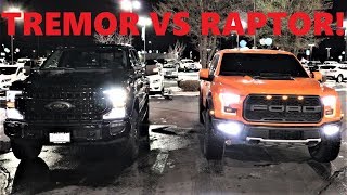 2020 Ford Tremor Vs 2020 Ford Raptor Which 80000 OffRoad Truck Is The Best Value [upl. by Akinit]