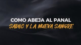 Como Abeja Al Panal  Sadoc Y La Nueva Sangre Letra [upl. by Eyar]