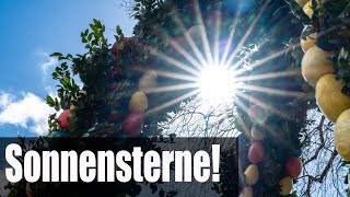 Das beste Objektiv für Sonnensterne und einfach Sterne fotografieren  wiesnernews [upl. by Box]