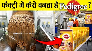 फैक्ट्री में कैसे बनता है PEDIGREE डॉग फ़ूड How is PEDIGREE dog food made in factory [upl. by Derriey252]