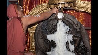 Special Puja to Sri Anjaneya Swami consecrated by Jagadguru Sri Adi Shankaracharya in Sringeri West [upl. by Haldane]