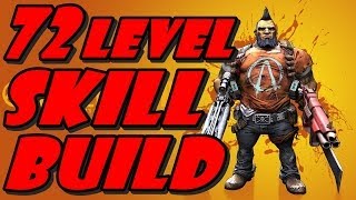 Borderlands 2My Gunzerker skill build 72 level may be the best [upl. by Niwrad96]