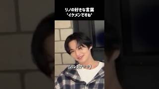 ［Stray Kids］quotイケメンquotと言われて口角ゆるみまくるリノ [upl. by Florentia]