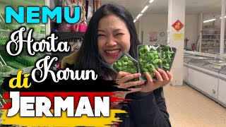 NEMU HARTA KARUN DI HAMBURGJERMAN⁉️‼️ [upl. by Emixam446]