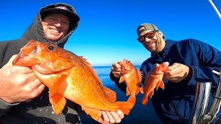 California Vermillion Rockfish Catch Clean and Cook [upl. by Egnalos]