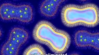 Animation of Antimicrobial Resistance [upl. by Akinit]