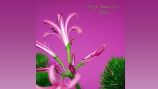 Thomas Fehlmann  Treatment Pop Ambient 2014 Album [upl. by Ramma]