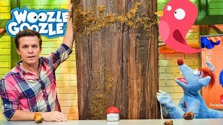 Warum klopft der Specht am Baum  WOOZLE GOOZLE [upl. by Odine]