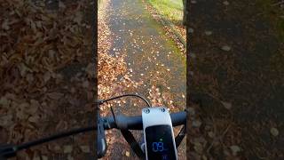 Okai ES500 E Scooter Steigungstest 15 Steigung escooter electric mtb [upl. by Lodge]