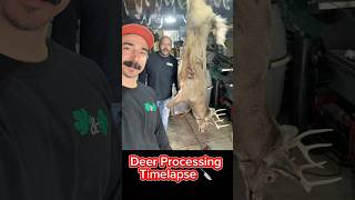 Deer Processing  Butchering Timelapse 🔪🦌 Venison Deer deerhunting timelapse [upl. by Nilerual576]