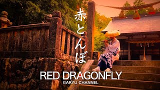 童謡【赤とんぼ】篠笛しのぶえ演奏 A Japanese childrens song AKATONBOred dragonflyPlease feel Japanese autumn [upl. by Lavro]