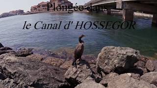 Le Canal d Hossegor [upl. by Hsaka]