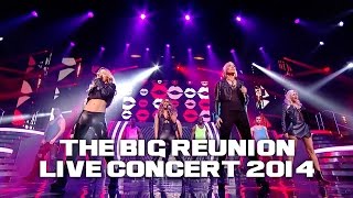 GIRL THING  LAST ONE STANDING THE BIG REUNION LIVE CONCERT 2014 [upl. by Dnaltruoc]