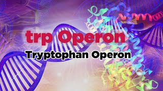 trp Operon  Tryptophan Operon [upl. by Mendoza]