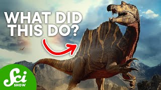 7 Dinosaur Mysteries We Havent Fully Figured Out [upl. by Malinowski]