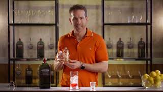 Ryan Reynolds Deadpool amp Wolverine Aviation Gin Promo [upl. by Ariem]