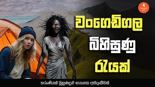 වංගෙඩිගල හොල්මන් රාත්‍රිය I Wangedigala scary camping I Holman katha [upl. by Ydnyc]