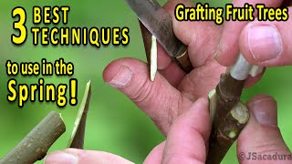 Grafting Fruit Trees  The 3 BEST Grafting Techniques for SPRING [upl. by Elyl527]