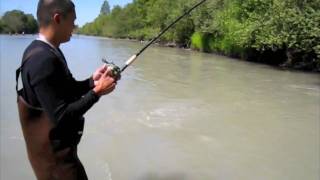 Puyallup River Salmon Fishing [upl. by Fons]