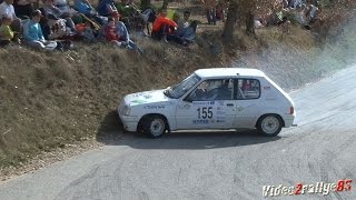 29ème Rallye de Haute Provence 2017  On Board Sebastien Loeb  Peugeot 306 Maxi [upl. by Haziza]