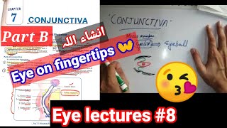 Eye lectures 8 conjunctivitis bacterial conjunctivitis viral conjunctivitis verneal conjunctiva [upl. by Yelekalb]