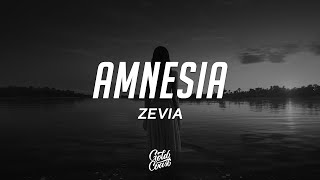 Zevia  amnesia Lyrics [upl. by Nwahsav]