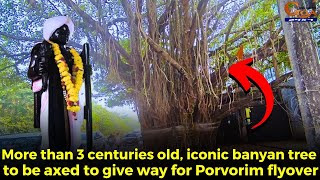 RIP 😢More than 3 centuries old iconic banyan tree to be axed to give way for Porvorim flyover [upl. by Clarence]