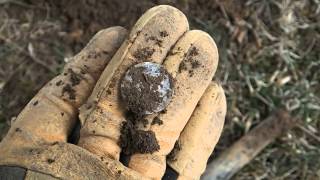 Metal Detecting  AT Gold Finds some Silver  Nugget Noggin [upl. by Aissirac560]