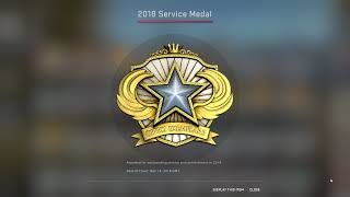 CSGO  2018 Service Medal  Counter Strike Global Offensive Badge Coin [upl. by Oijimer]