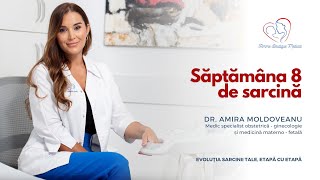 Săptămâna 8 de sarcină I Dr Amira Moldoveanu I Femmeboutiquemedicalcom [upl. by Eerak]