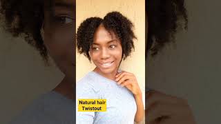 Twistout on natural hair howtostylenaturalhair naturalhairtwist hairstyle twistout [upl. by Oah]