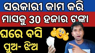 ଘରେ ବସି ସବୁ ସରକାରୀ କାମ ବ୍ୟାଙ୍କ୍ କରି 30 ହଜାର ଟଙ୍କା ✅CSC ଦରକାର୍ ନାହିଁ ❌ Earn money Online on mobile [upl. by Gagne]